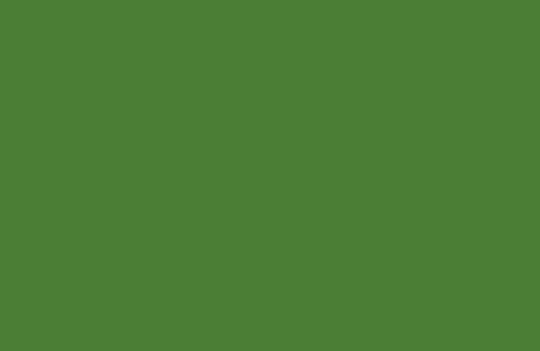 green color background